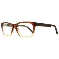 carrera 6653 shiny dark brown