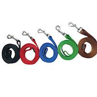 cat dog leash running solid red black green blue brown nylon