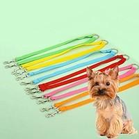 Cat / Dog Leash Adjustable/Retractable / Cosplay Rainbow Nylon