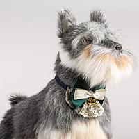 Cat Dog Adjustable Lace Collar Bowtie With Bells