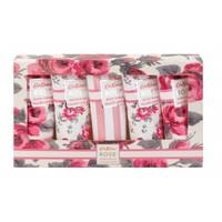 CATH KIDSTON ROSE Essentials Collection 5 x 50ml shower gel, hand cream, body lotion, body scrub, hand wash