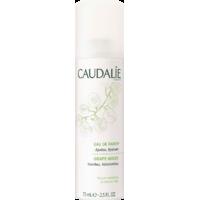 caudalie grape water spray 75ml