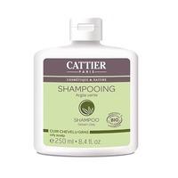 cattier paris green clay shampoo for an oily scalp