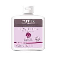 Cattier-Paris Bamboo Extract Shampoo for Dry Hair
