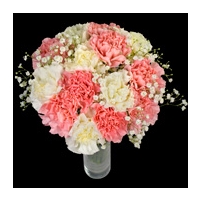 Carnation Carnival Bouquet