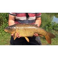 Carp Fishing Experience