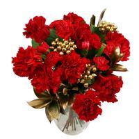 Carnation Sparkle