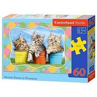 castorland jigsaw classic 60pc kittens in flowerpots