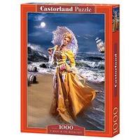 Castorland Jigsaw 1000pc - A Walk In The Moonlight