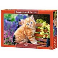 castorland jigsaw 500pc ginger kitten