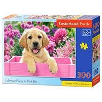 Castorland Jigsaw Premium 300pc - Labrador Puppy In Box