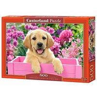 Castorland Jigsaw 500pc - Labrador Puppy In Pink Box