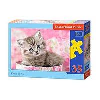 Castorland Jigsaw Midi 35pc -kitten In Box