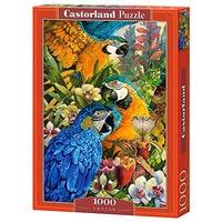 castorland jigsaw 1000pc amazon