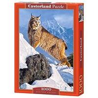 castorland c 103560 austere accent jigsaw puzzle 1000 piece