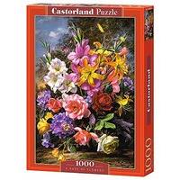 Castorland C-103607 \