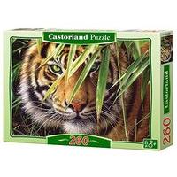 castorland emerald forest classic jigsaw 260 piece