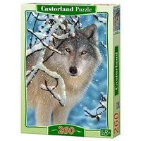 castorland broken silence classic jigsaw 260 piece