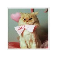 Cat Pink Bow Tie