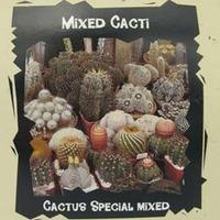 cactus special mixed exotic seed collection 1 packet 25 cactus seeds