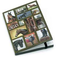 catseye horse gallery a6 notebook