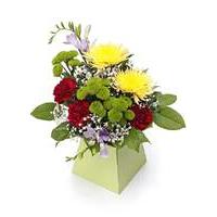 Calypso Arrangement