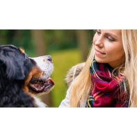 Canine Behaviour Training Audio Course