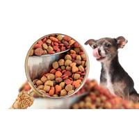 Canine Nutrition Diploma Course