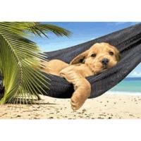 Castorland Leisure Time