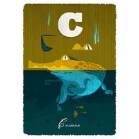 (C)aiman By Graham Carter