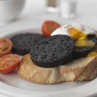 campbells black pudding