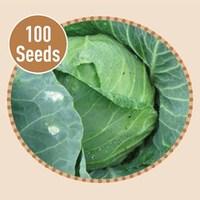 Cabbage Golden Acre 100 Seeds
