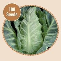 Cabbage Pyramid F1 100 Seeds