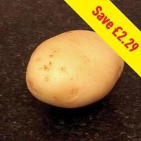 casablanca seed potatoes 2kg