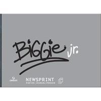 Canson Biggie Jr Newsprint Paper Pad 18 x 24 inch 245702