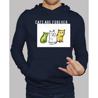 Cats are forver