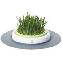 Catit Design Senses Grass Garden
