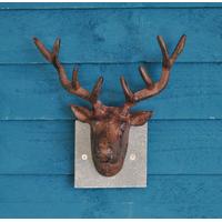 Cast Iron Wall Mounted Stag Head with Slate Mount by Fallen Fruits