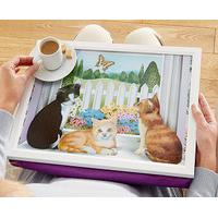 Cat Lap Trays (1 + 1 FREE), Polyester
