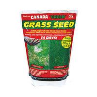 Canada Green Grass Seed, 1kg