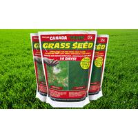 Canada Green Grass Seed Pack - 500g