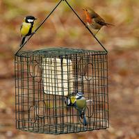 Caged Treat Basket