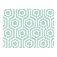 Camelot Fabrics Mint Condition Hexagons Quilting Fabric Mint