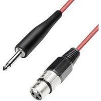 Cable [1x XLR socket - 1x Jack plug 6.35 mm] 5 m Red Paccs