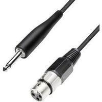 Cable [1x XLR socket - 1x Jack plug 6.35 mm] 10 m Black Paccs