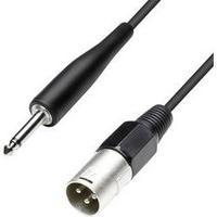 Cable [1x XLR plug - 1x Jack plug 6.35 mm] 10 m Black Paccs