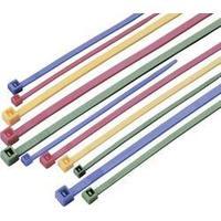 Cable tie set, coloured Green, Red, Blue, Yellow 100 pc(s) Conrad Components