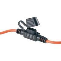 Car fuse holder Suitable for Blade-type fuse (mini) 30 A 32 Vdc SCI Mini FK1 1 pc(s)