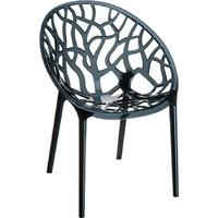 Capricorn Crystal Black Chair