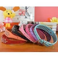 cat dog collar rhinestone red black blue pink purple orange rose pu le ...